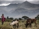 Momentum towards an International Year of Rangelands and Pastoralists 2026